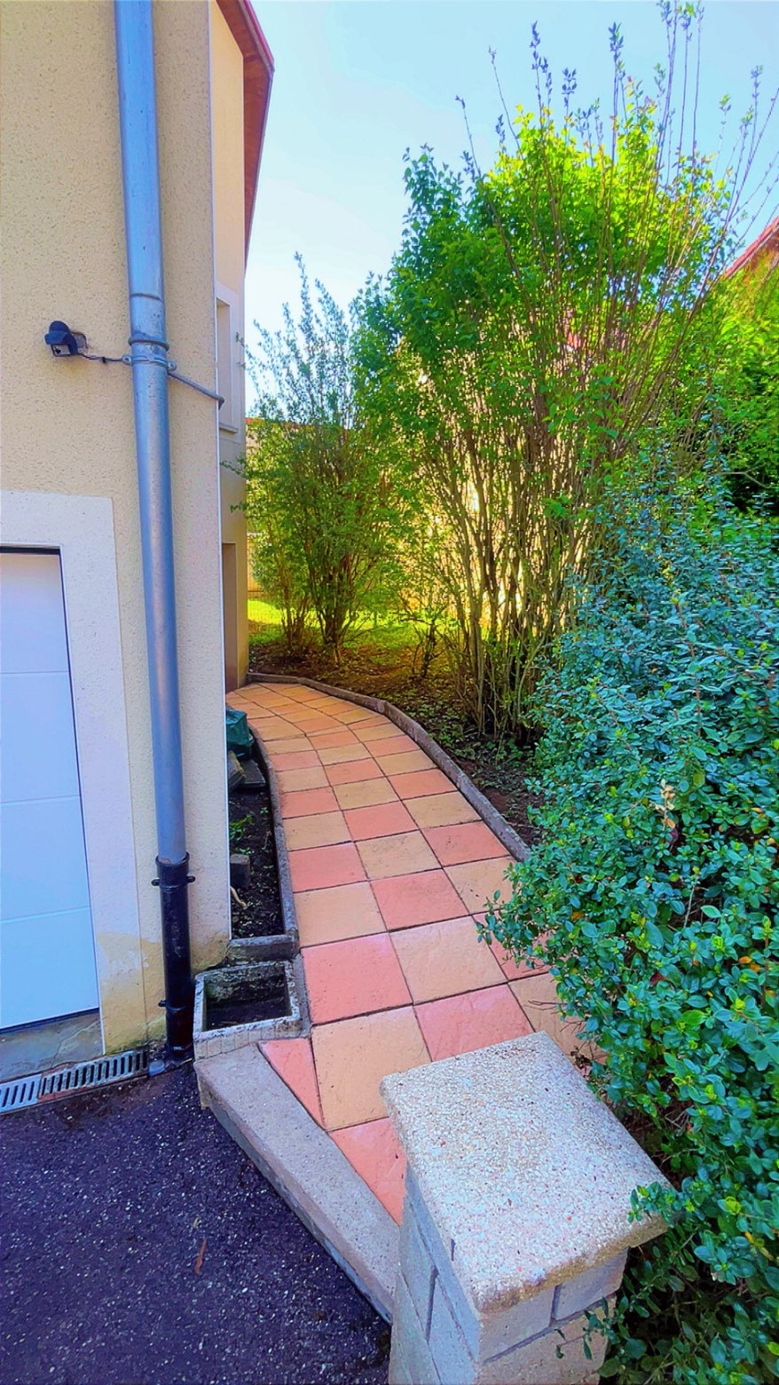 Après : allée nettoyée et arbustes taillés par JDL jardinier