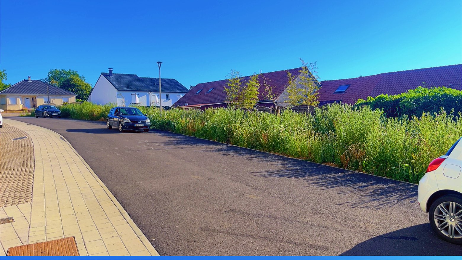 Avant : talus envahi de végétation en bord de route en Moselle