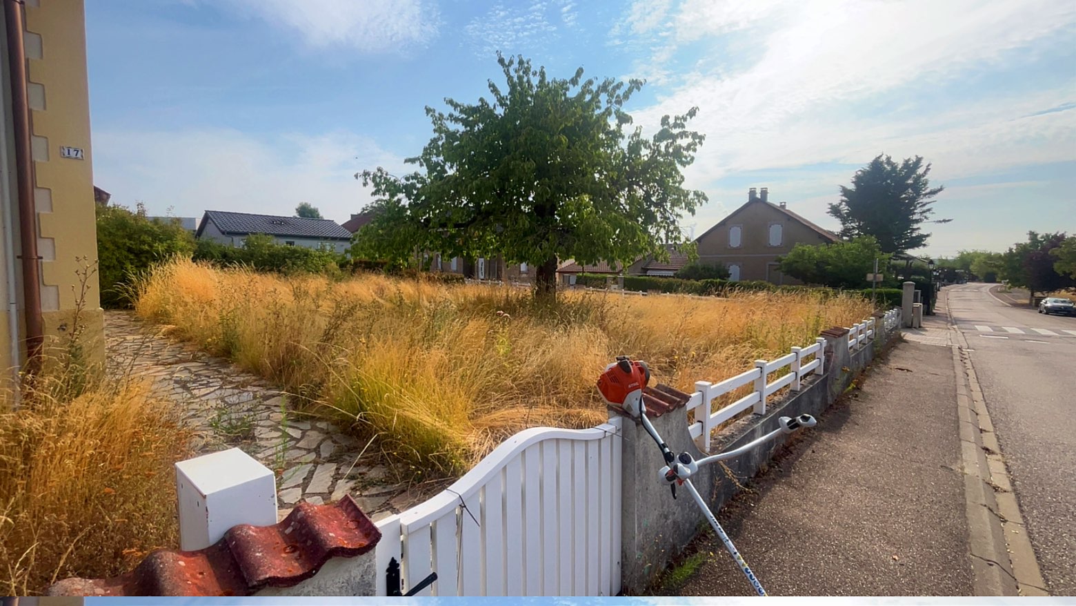Avant : terrain en friche envahi de hautes herbes en Moselle